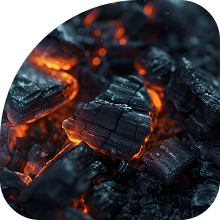 Coal